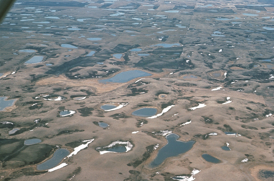 Potholes in Wetlands, (Aerials)