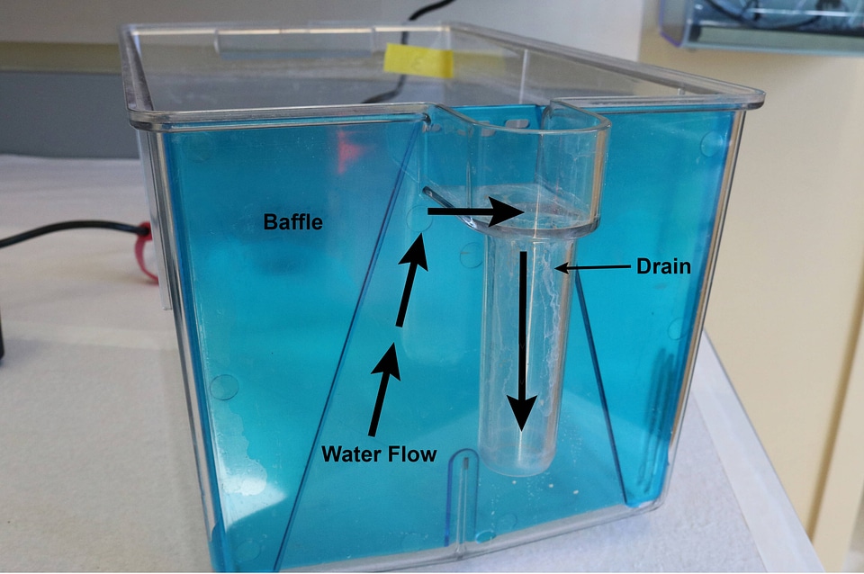 Self-cleaning tank from a multi-tank system