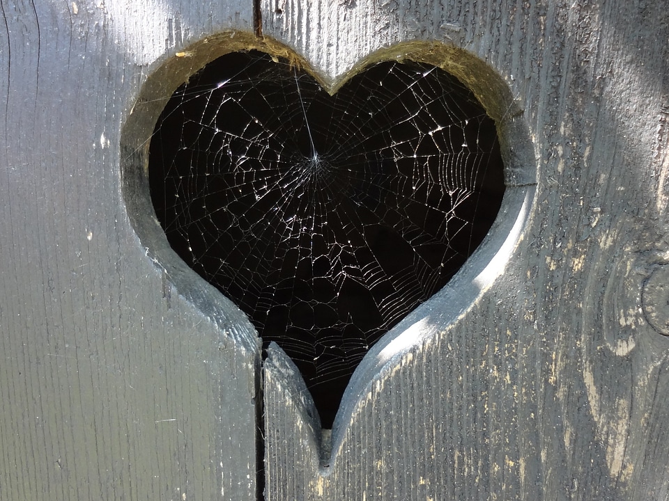 Toilettenhaus spider love