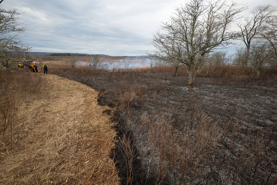 Prescribed burn at Canaan Valley National Wildlife Refuge-3
