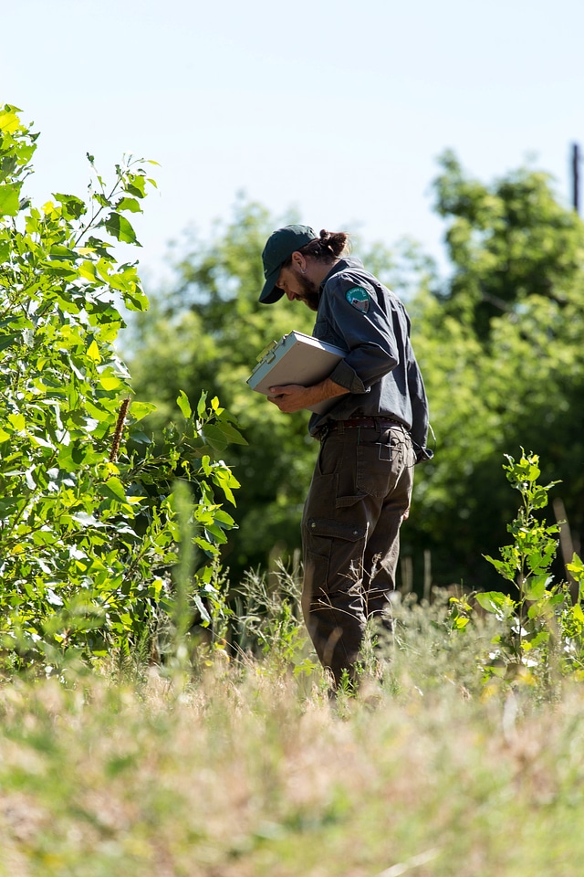 Biologist documents stream restoration