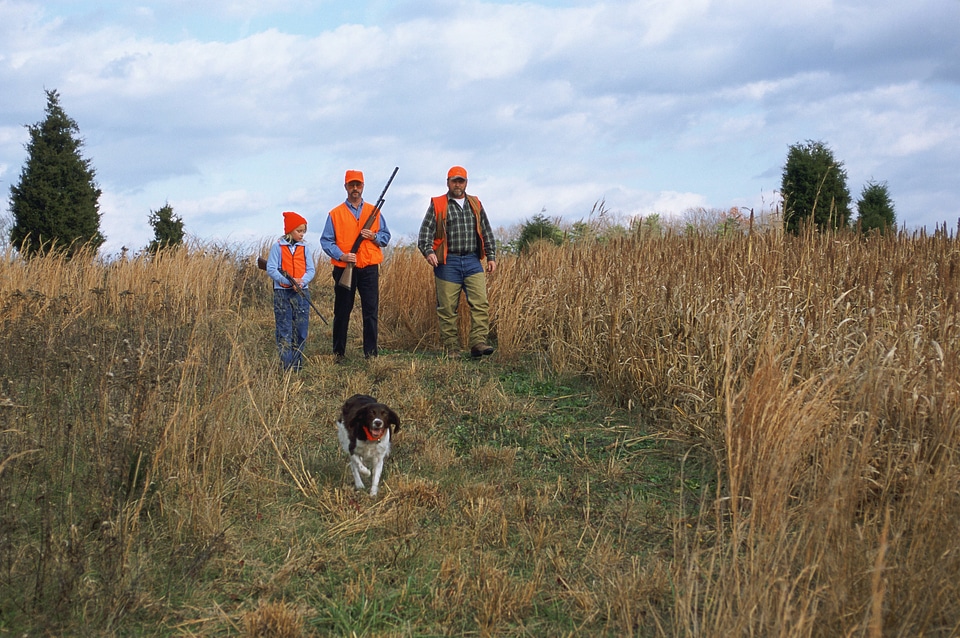 Hunting Pheasant-1