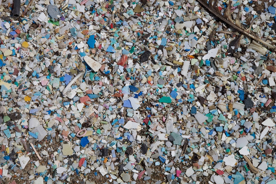 Plastic pollution on Laysan Island