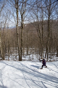 Cross-country skiing-1