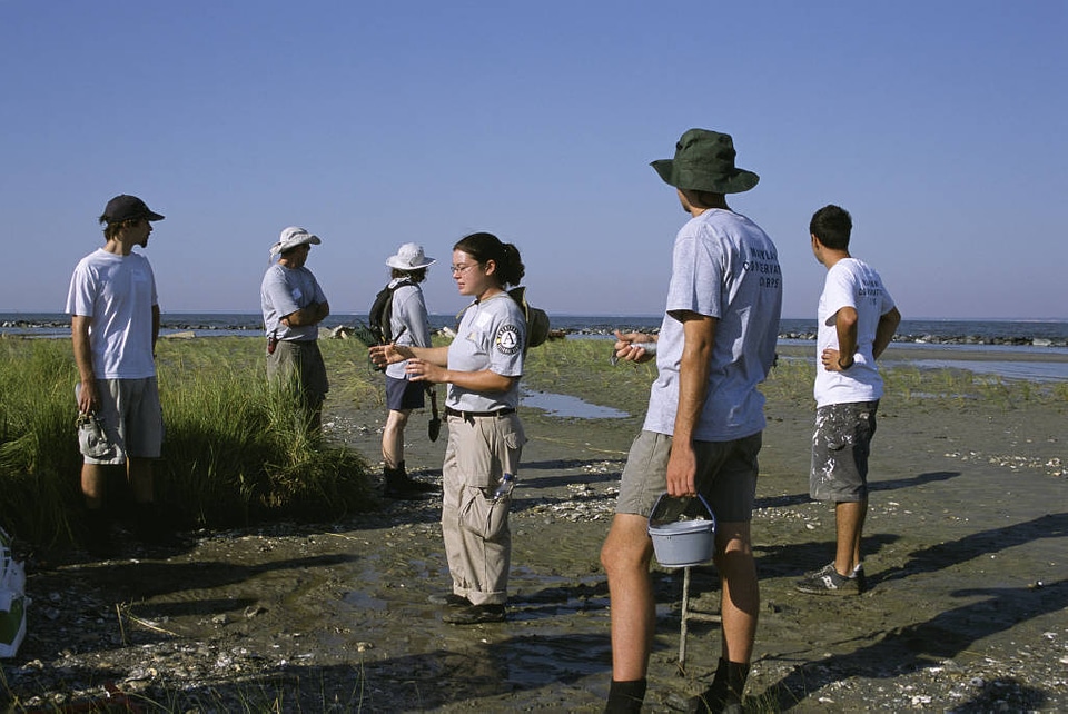 Partners restoring marsh habitat at Barren Islands National Wildlife Refuge