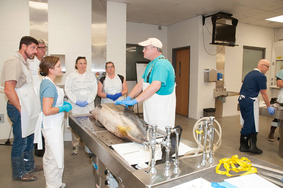 Marine Mammal Stranding Course at NCTC-5