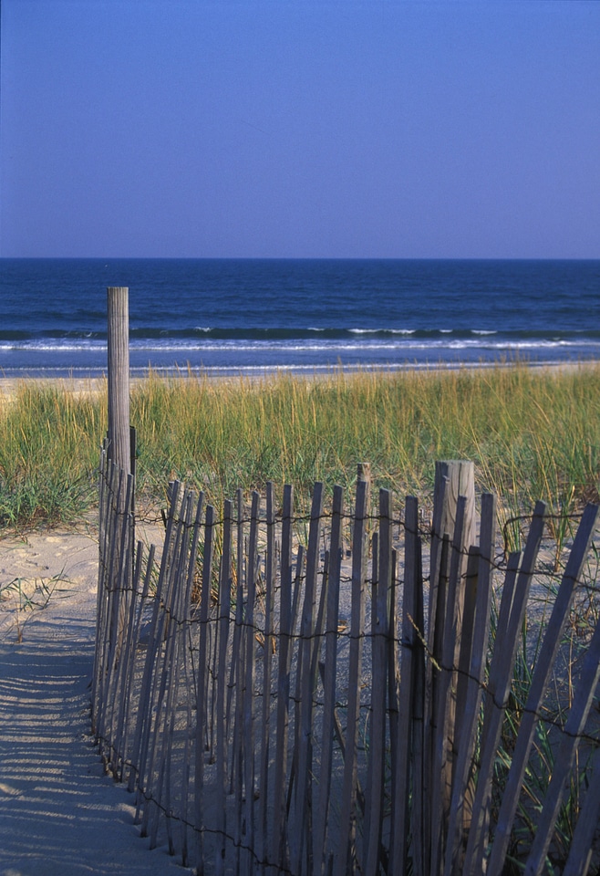 Sand dunes with stabilizing fence