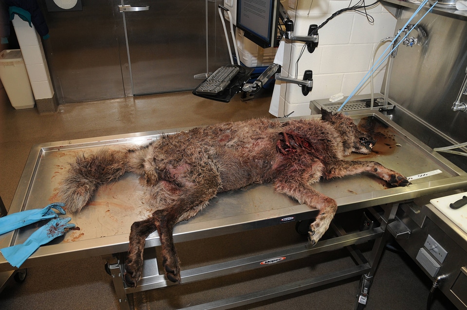 Ashland Forensics Lab-2