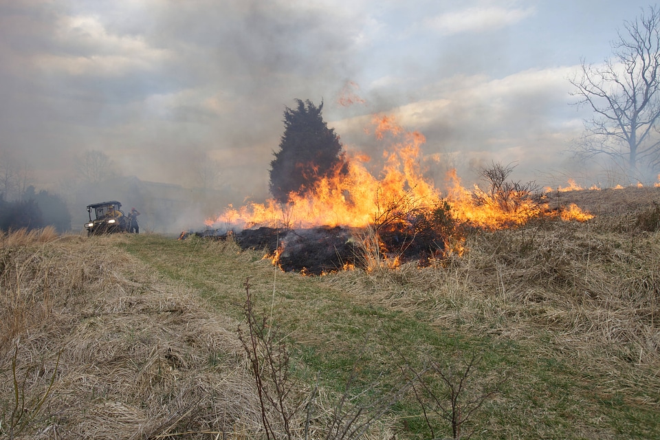 Prescribed burn at NCTC-3