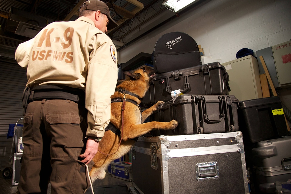 Law enforcement with K-9-1