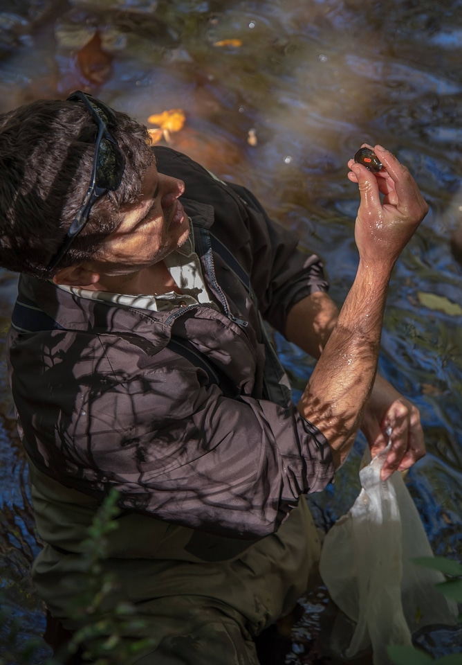 FWS mussel biologist, Jonathan Wardell, releases endangered Carolina Heelsplitter-5