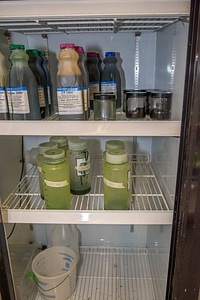 Cold storage for algae