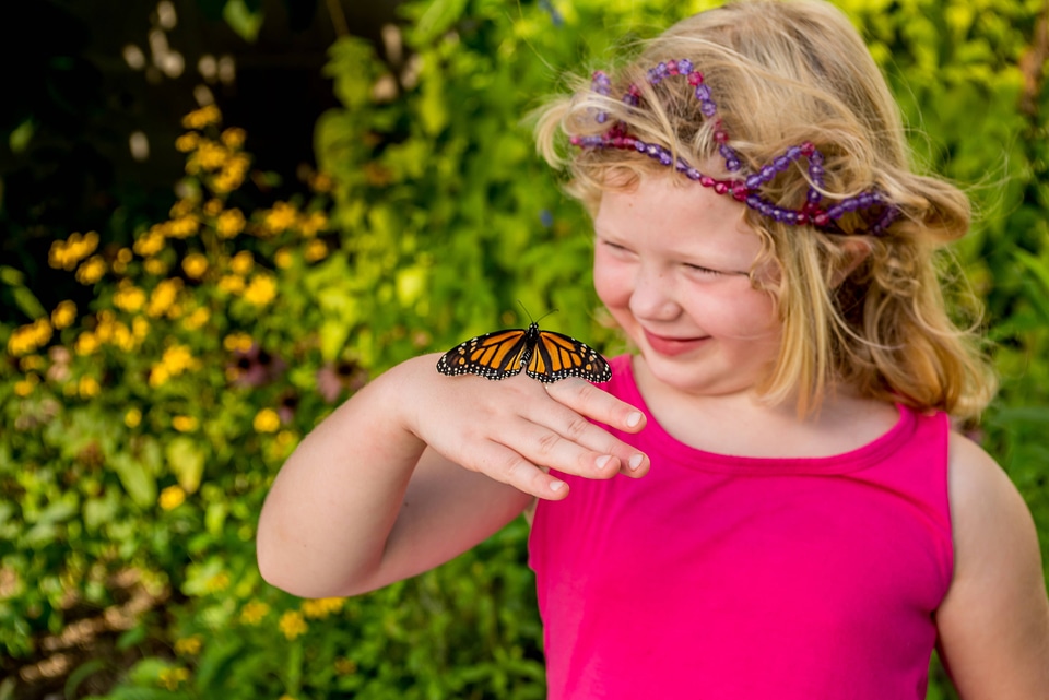 Monarch on little girl's hand
