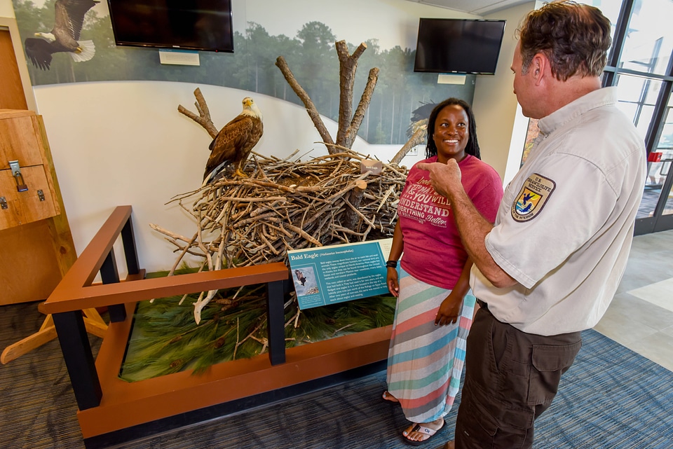 Visitor in dress looks at eagle exhibit in visitor center with FWS Staffer