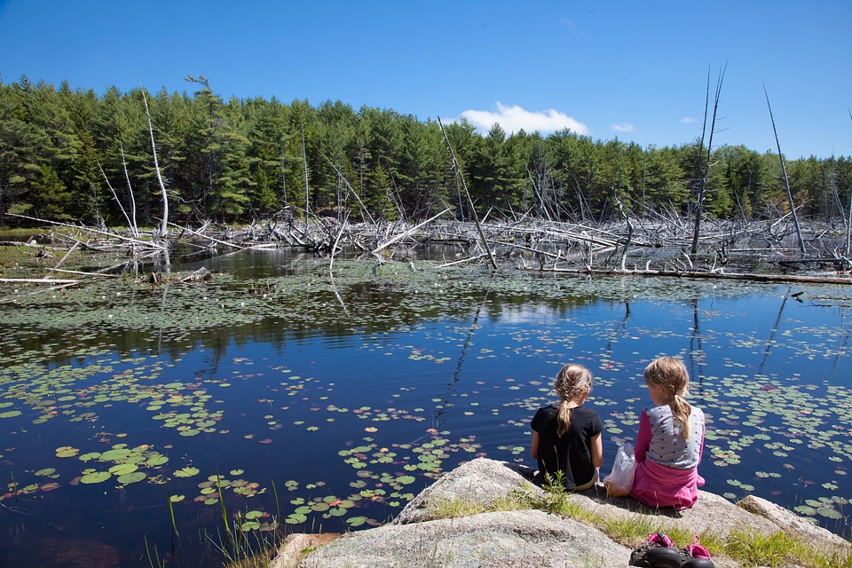 
Girls enjoying a frog pond-1