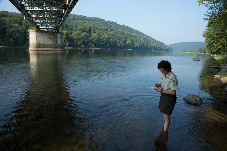 Refuge biologist counts freshwater mussels in river-2