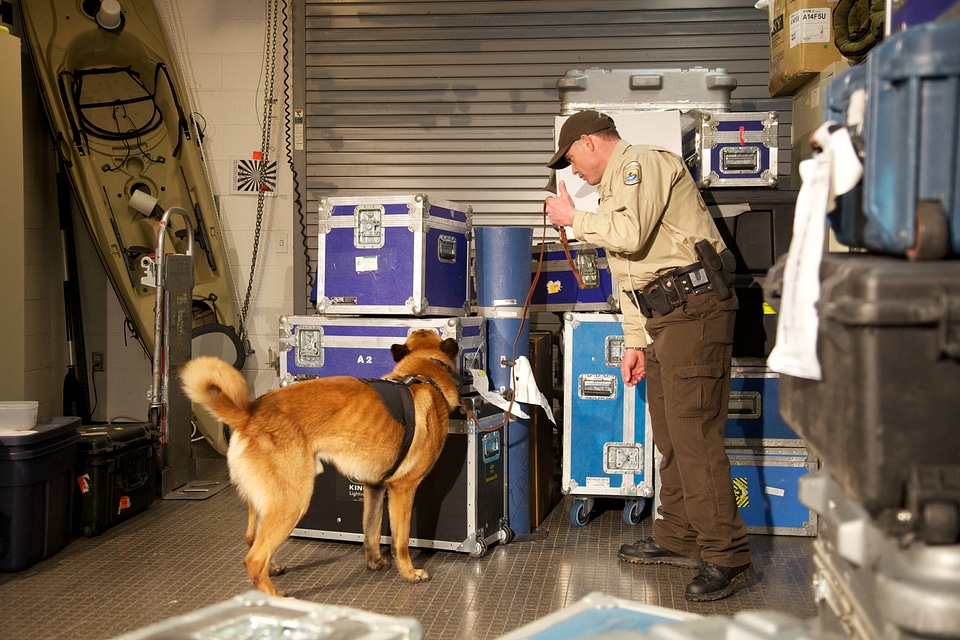 Law enforcement with K-9-4