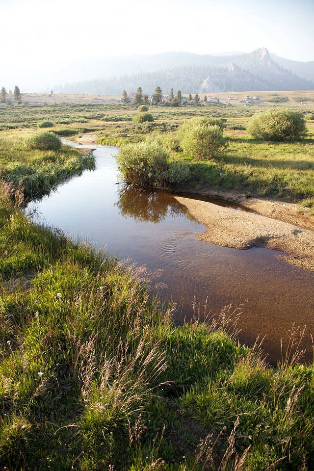 Stream through Sierra Nevada high alpine meadow-5