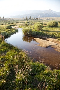 Stream through Sierra Nevada high alpine meadow-5 photo