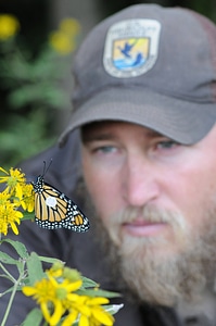 USFWS biologist tags a Monarch butterfly-1