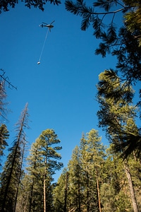 Helicopter lowers fish tank on cable-2