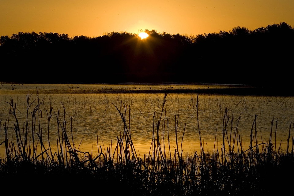 Sun setting over wetland
