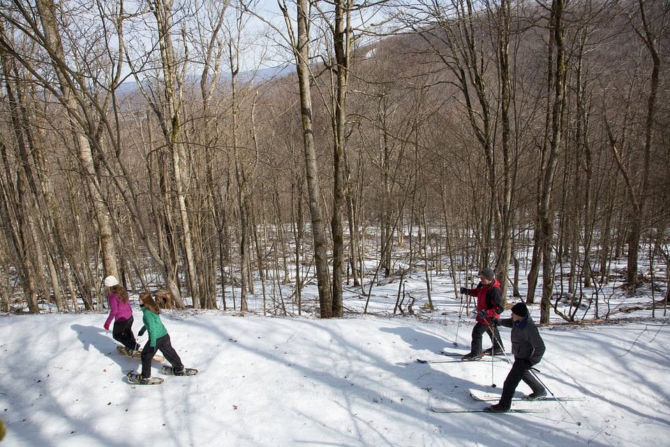 Cross-country skiing and snowshoeing-1