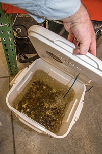 Mussel propagation equipment-3