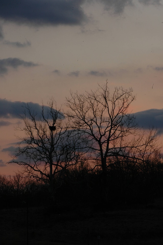 NCTC eagles nest at night-2