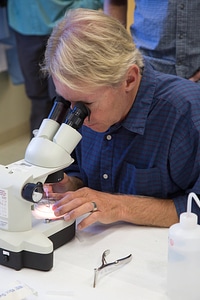 Biologists learn how to grow freshwater mussels-1