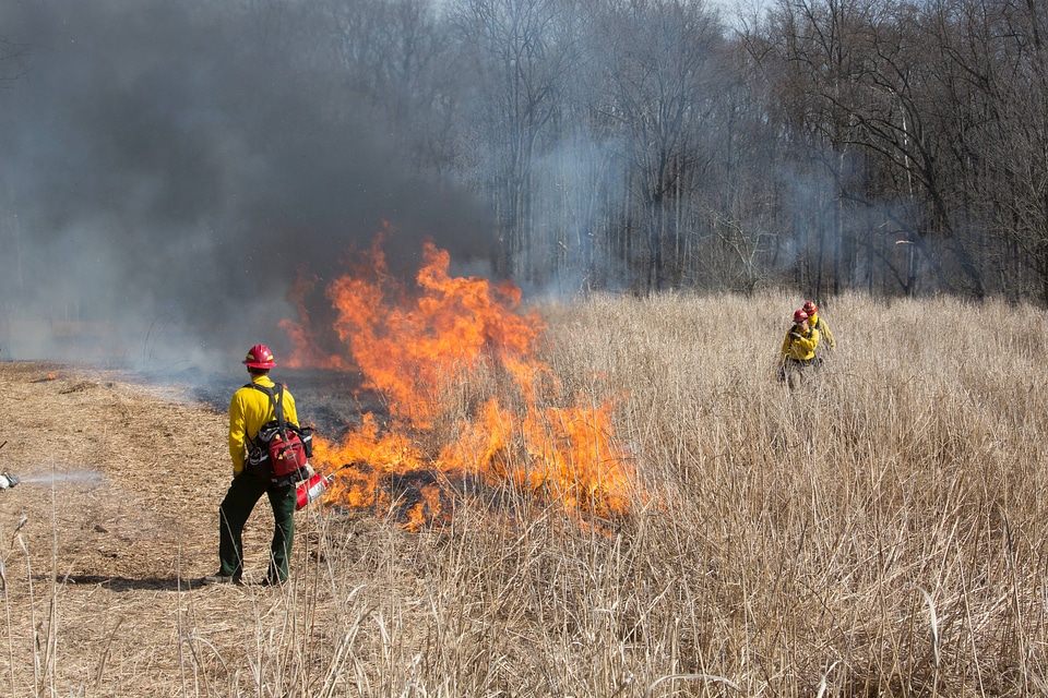 Prescribed burn at NCTC -2