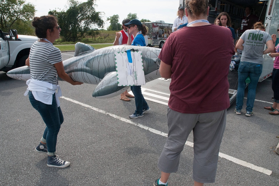 Marine Mammal Stranding Course at NCTC-1