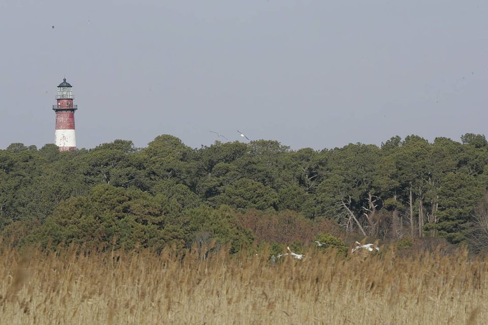Assateague Lighthouse-3