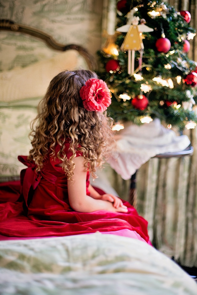 Xmas holiday seasonal
