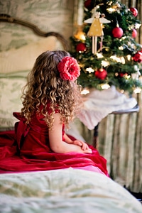 Xmas holiday seasonal