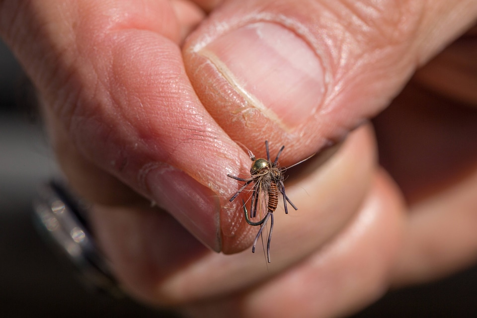 Bead head and nymph