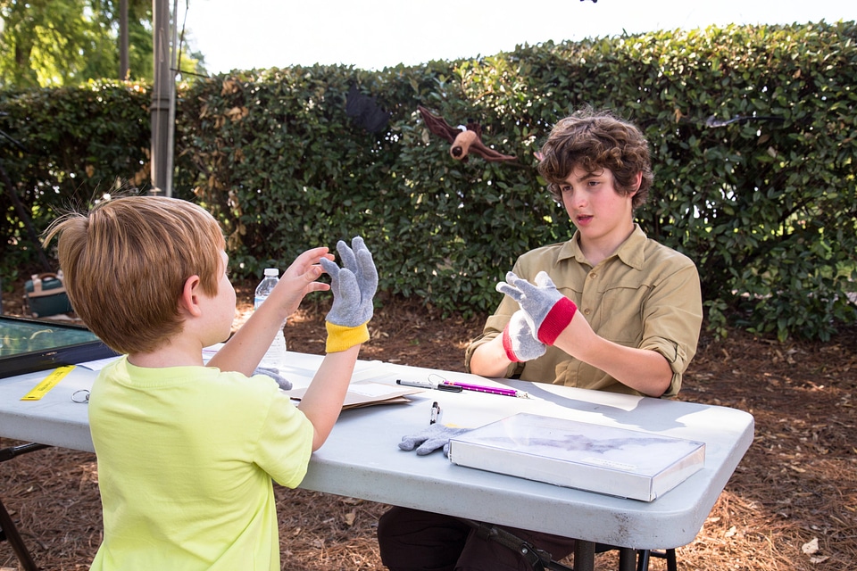 Two boys practicing to be bat biologists