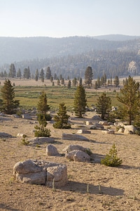 Sierra Nevada high alpine meadow-1 photo