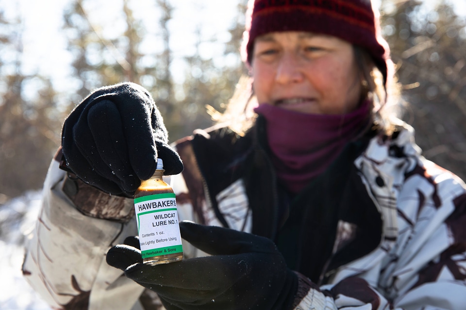 Scent lures used to track Canada lynx