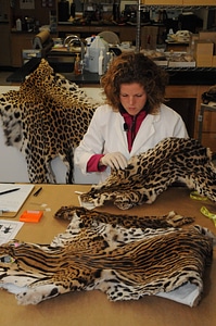 Ashland Forensics Lab-4