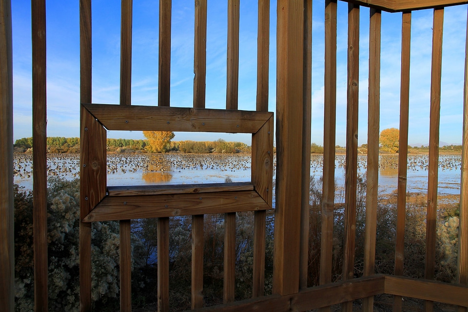 Cibola National Wildlife Refuge-6