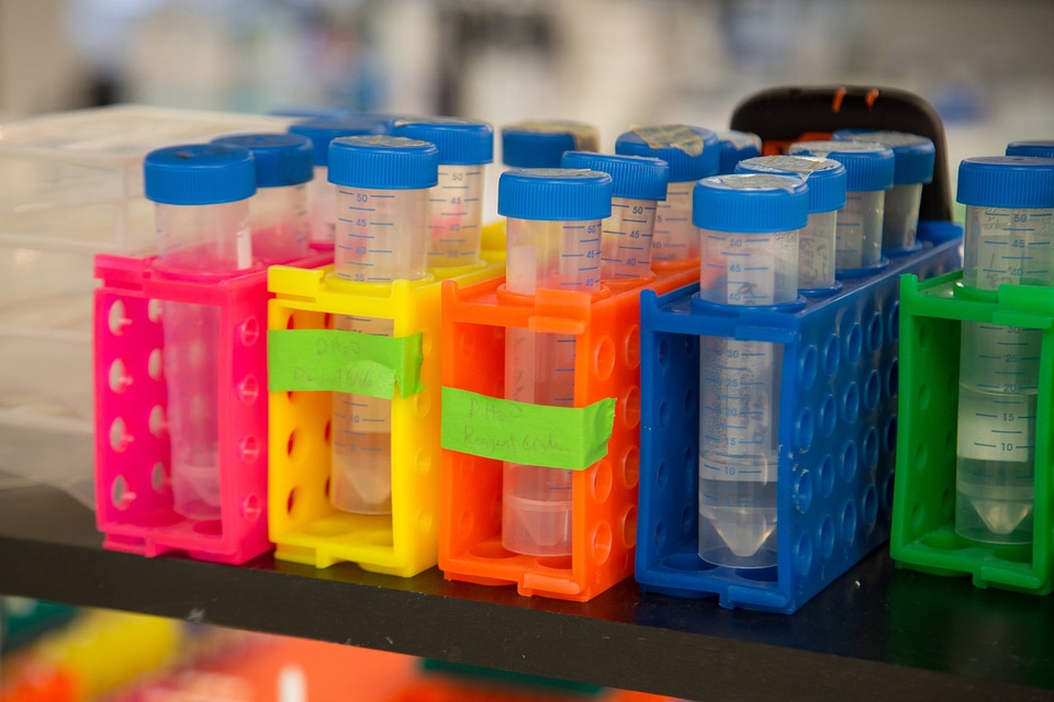 Genetic samples-2