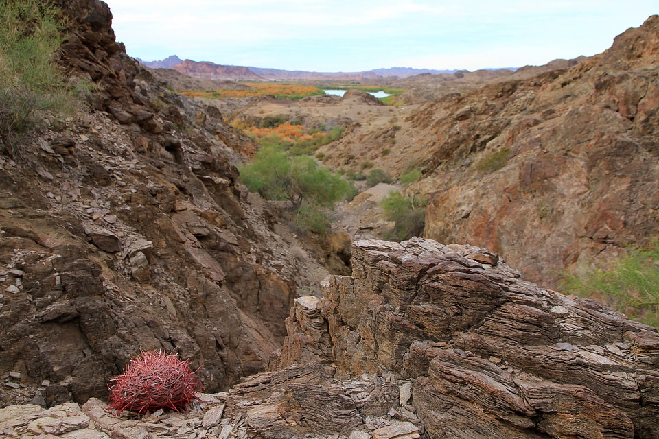 Imperial National Wildlife Refuge