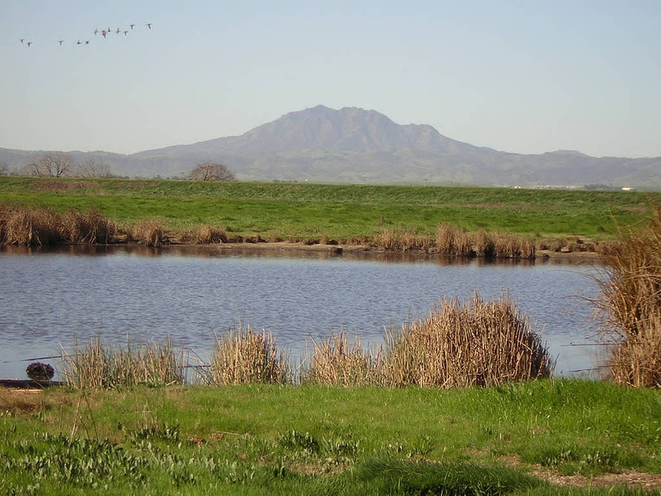 Emerson Parcel Tidal Marsh in California