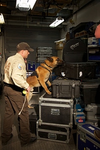 Law enforcement with K-9-3