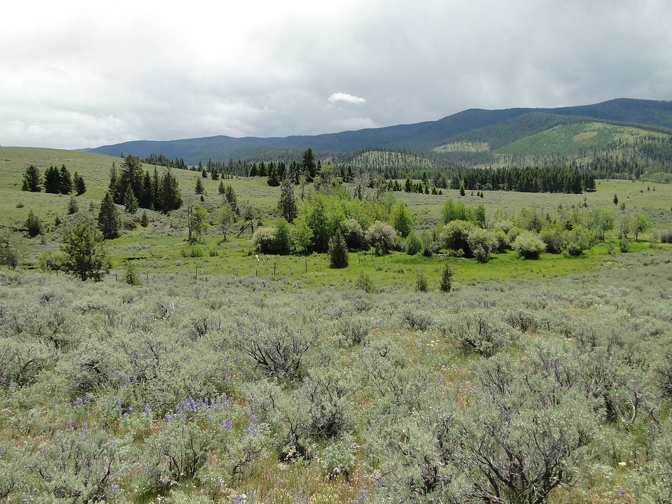 Mannix Ranch at Blackfoot Valley Conservation Area-1