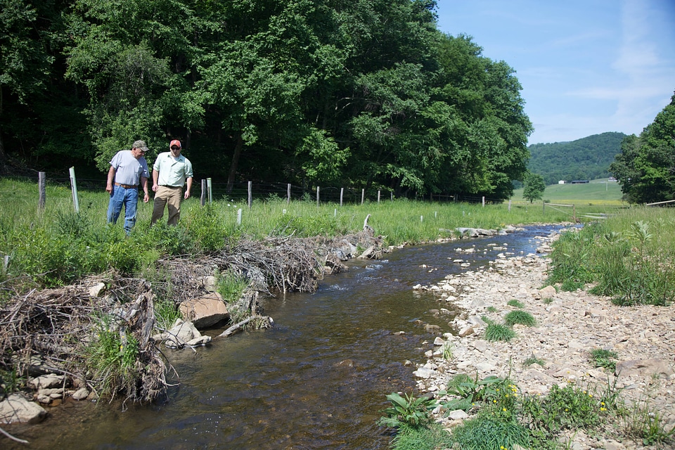 Brook Trout Restoration-1