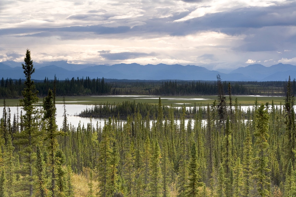 Mountains and lake at Tetlin National Wildlife Refuge