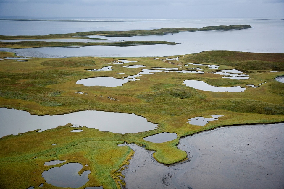 Izembek National Wildlife Refuge-2