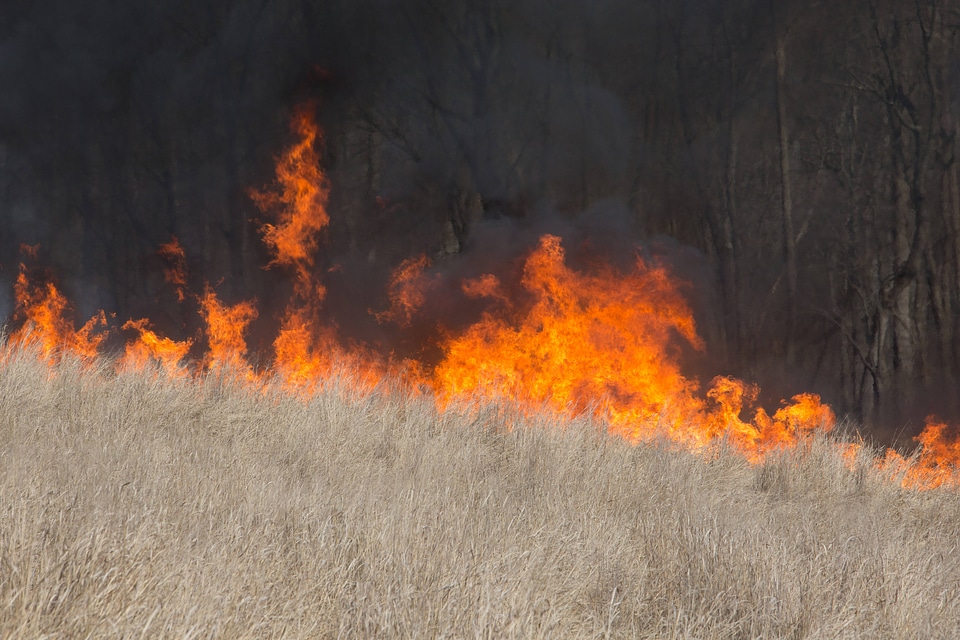 Prescribed burn at NCTC -2